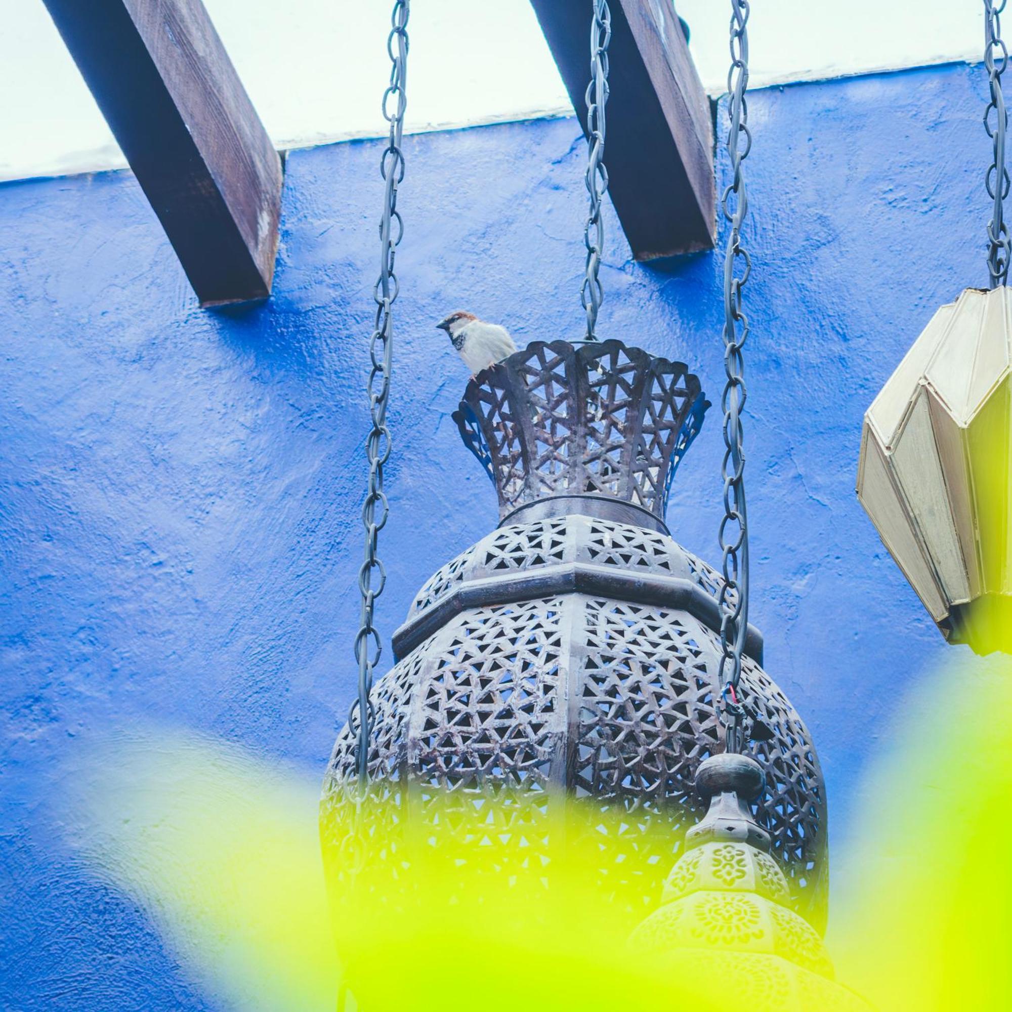 Hotel Boutique Casa Altamira Querétaro Екстериор снимка